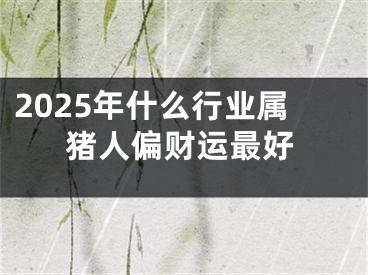 2025年什么行业属猪人偏财运最好