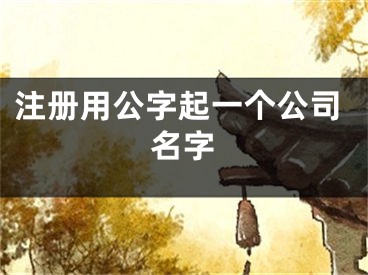 注册用公字起一个公司名字