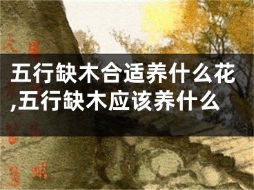 五行缺木合适养什么花,五行缺木应该养什么