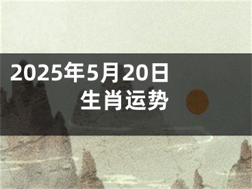 2025年5月20日生肖运势