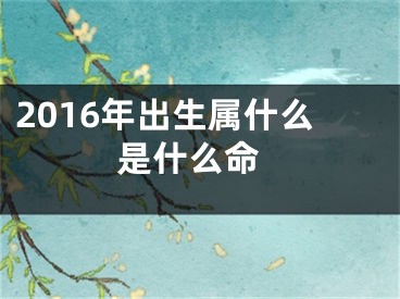2016年出生属什么 是什么命