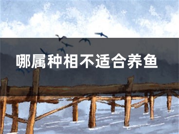 哪属种相不适合养鱼