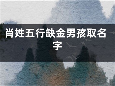 肖姓五行缺金男孩取名字