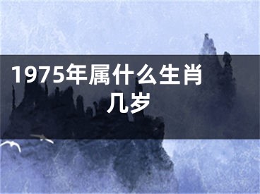 1975年属什么生肖几岁