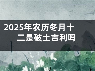 2025年农历冬月十二是破土吉利吗