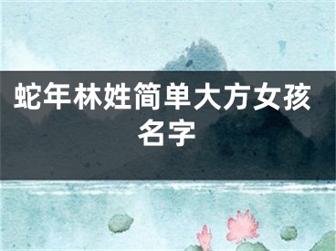 蛇年林姓简单大方女孩名字