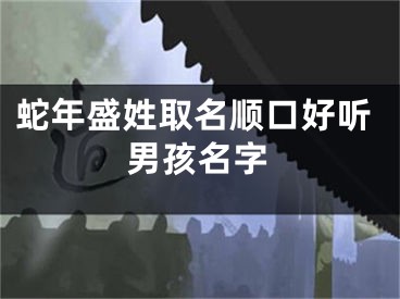 蛇年盛姓取名顺口好听男孩名字
