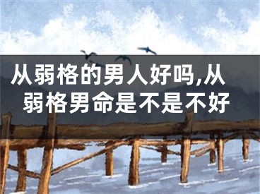 从弱格的男人好吗,从弱格男命是不是不好