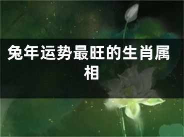兔年运势最旺的生肖属相