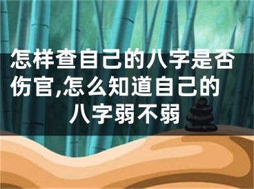 怎样查自己的八字是否伤官,怎么知道自己的八字弱不弱