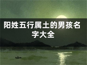 阳姓五行属土的男孩名字大全