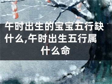 午时出生的宝宝五行缺什么,午时出生五行属什么命