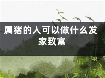 属猪的人可以做什么发家致富