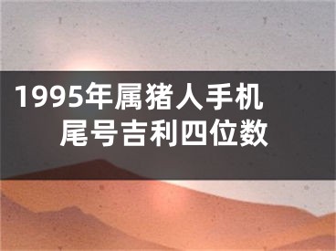1995年属猪人手机尾号吉利四位数