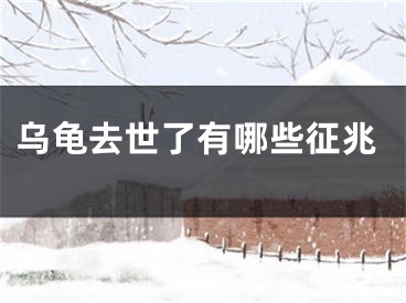 乌龟去世了有哪些征兆