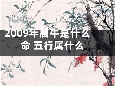 2009年属牛是什么命 五行属什么