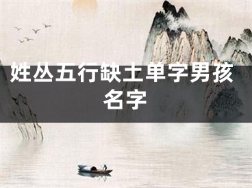 姓丛五行缺土单字男孩名字