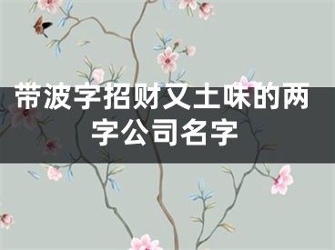 带波字招财又土味的两字公司名字