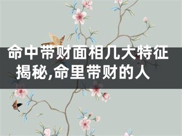 命中带财面相几大特征揭秘,命里带财的人