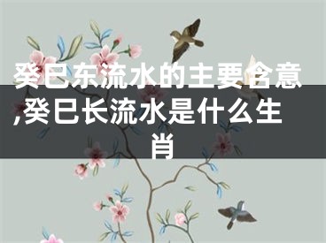癸巳东流水的主要含意,癸巳长流水是什么生肖