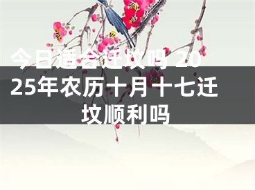 今日适合迁坟吗 2025年农历十月十七迁坟顺利吗