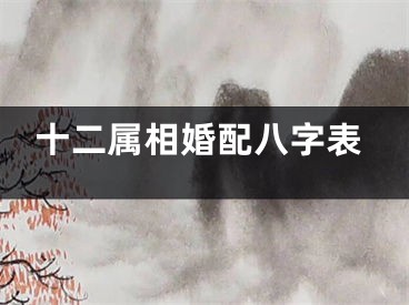 十二属相婚配八字表