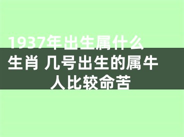 1937年出生属什么生肖 几号出生的属牛人比较命苦