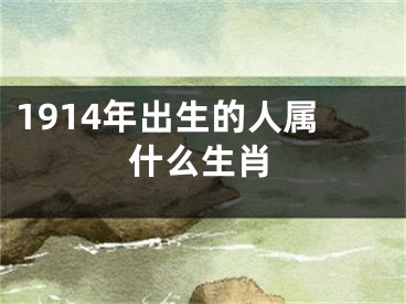 1914年出生的人属什么生肖