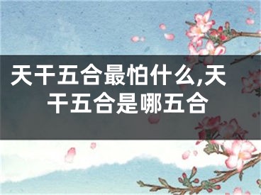 天干五合最怕什么,天干五合是哪五合