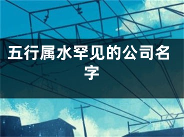 五行属水罕见的公司名字
