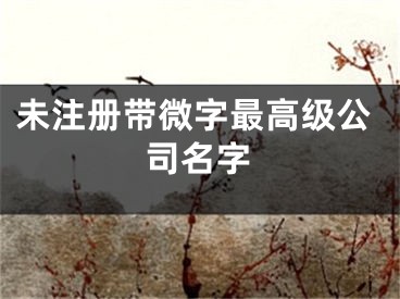 未注册带微字最高级公司名字