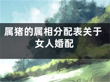属猪的属相分配表关于女人婚配