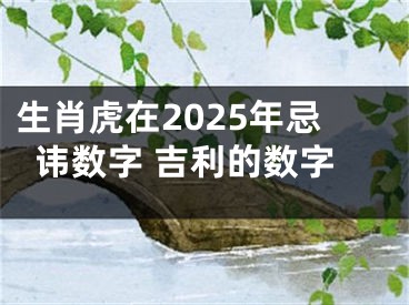 生肖虎在2025年忌讳数字 吉利的数字