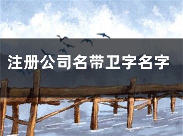 注册公司名带卫字名字