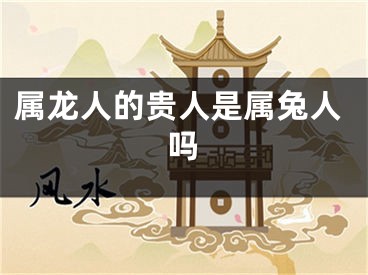 属龙人的贵人是属兔人吗