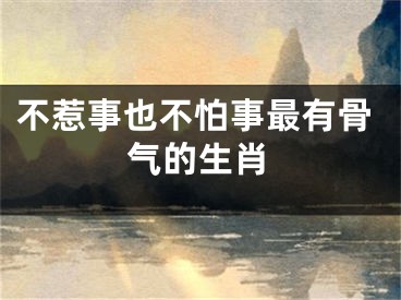 不惹事也不怕事最有骨气的生肖