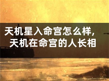 天机星入命宫怎么样,天机在命宫的人长相