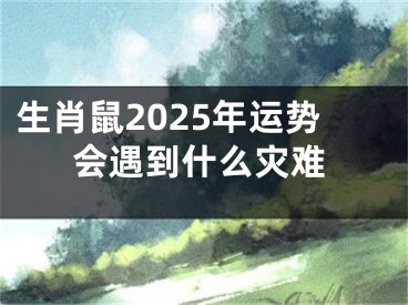 生肖鼠2025年运势会遇到什么灾难