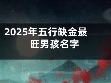 2025年五行缺金最旺男孩名字