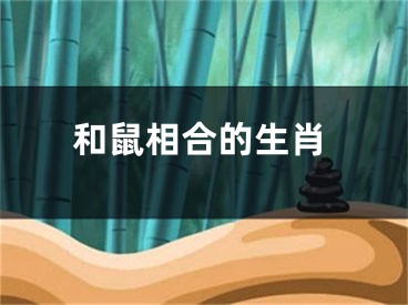 和鼠相合的生肖