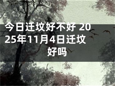 今日迁坟好不好 2025年11月4日迁坟好吗