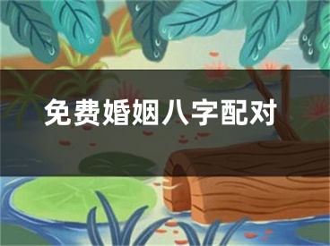 免费婚姻八字配对