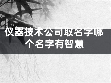 仪器技术公司取名字哪个名字有智慧