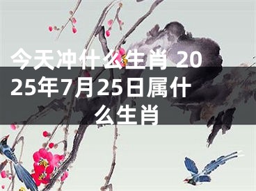 今天冲什么生肖 2025年7月25日属什么生肖