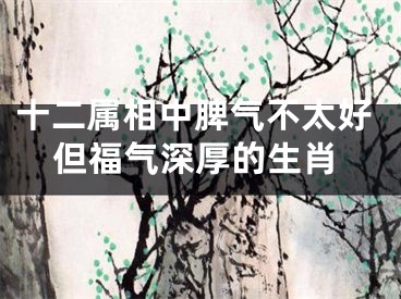 十二属相中脾气不太好但福气深厚的生肖