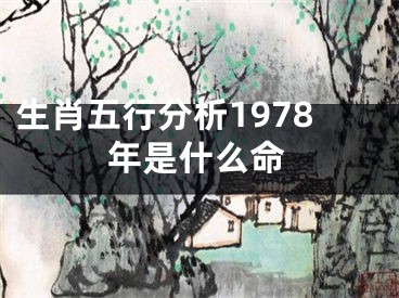 生肖五行分析1978年是什么命