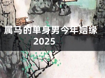 属马的单身男今年姻缘2025