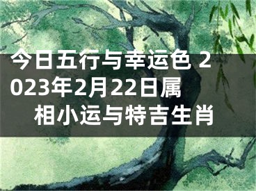 今日五行与幸运色 2023年2月22日属相小运与特吉生肖