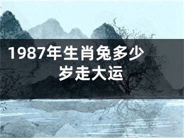 1987年生肖兔多少岁走大运