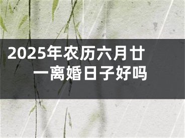 2025年农历六月廿一离婚日子好吗